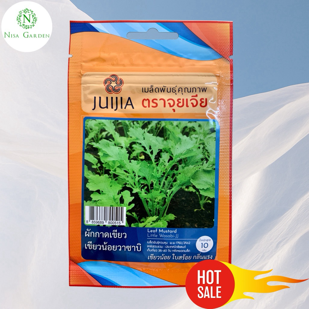 Nisa Garden เมล็ดพันธุ์ ผักกาดหิ่น กลิ่นชัด ผักวาซาบิ ผักกาดเขียวน้อย