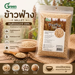 Dr.Green: ข้าวฟ่าง (Millets) 500 กรัม นำไปหุงทานได้ ปลอดสาร คัดเกรด มีอย.ถูกต้อง