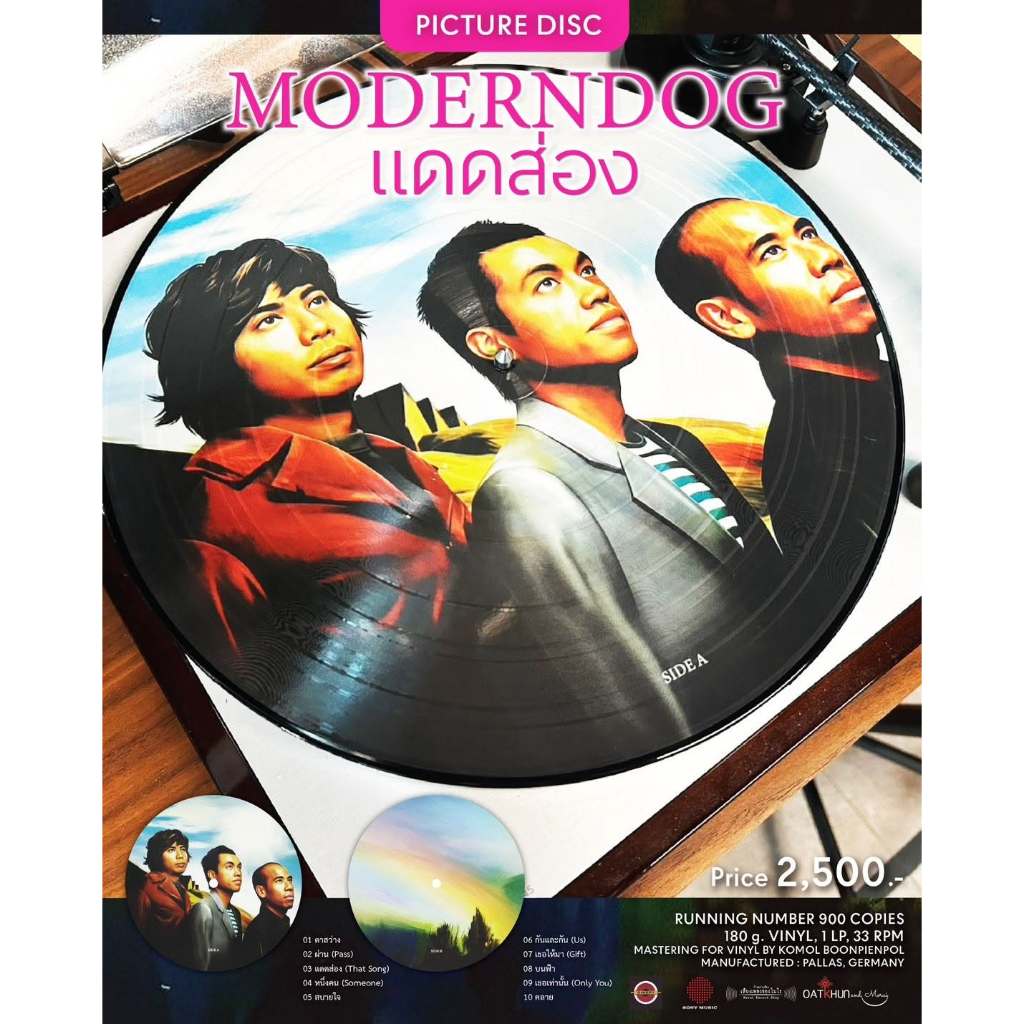 Vinyl Moderndog : แดดส่อง