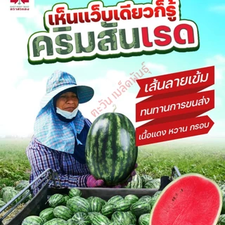 แตงโม คริมสันเรด เมล็ดพันธุ์ ตราศรแดง บรรจุ 40กรัม