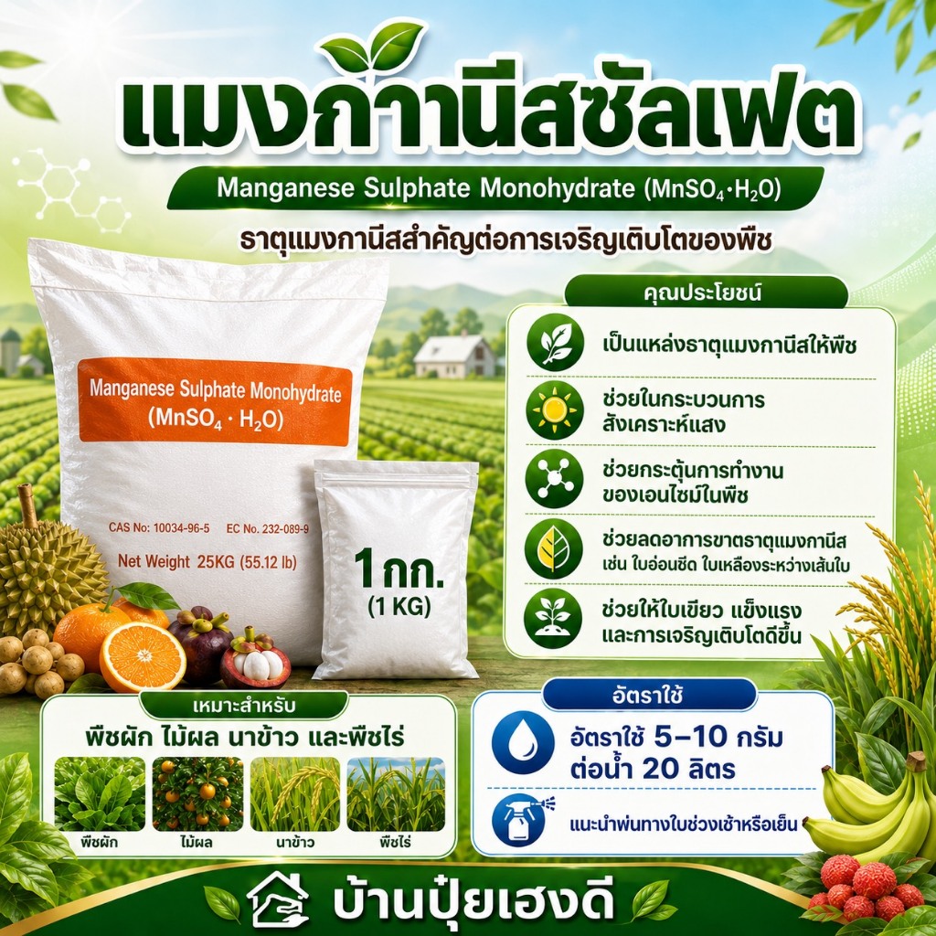 แมงกานีสซัลเฟต 32% Manganese Sulfate Monohydrate สังเคาระห์แสง บำรุงใบ น้ำหนักสุทธิ 1 กิโลกรัม