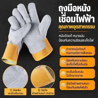 MUSCLE COW ถุงมือหนังงานเชื่อม 10.5" และ13" ทำจากหนังวัวชั้นที่ 2 ทั้งชิ้น เบาและสามารถระบายอากาศได้ดีถุงมือพิเศษทนต่อ