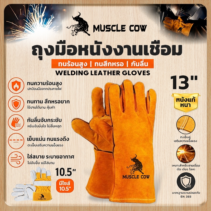 MUSCLE COW ถุงมือหนังงานเชื่อม 10.5" และ13"  ทำจากหนังวัวชั้นที่ 2 ทั้งชิ้น เบาและสามารถระบายอากาศได้ดีถุงมือพิเศษทนต่อ