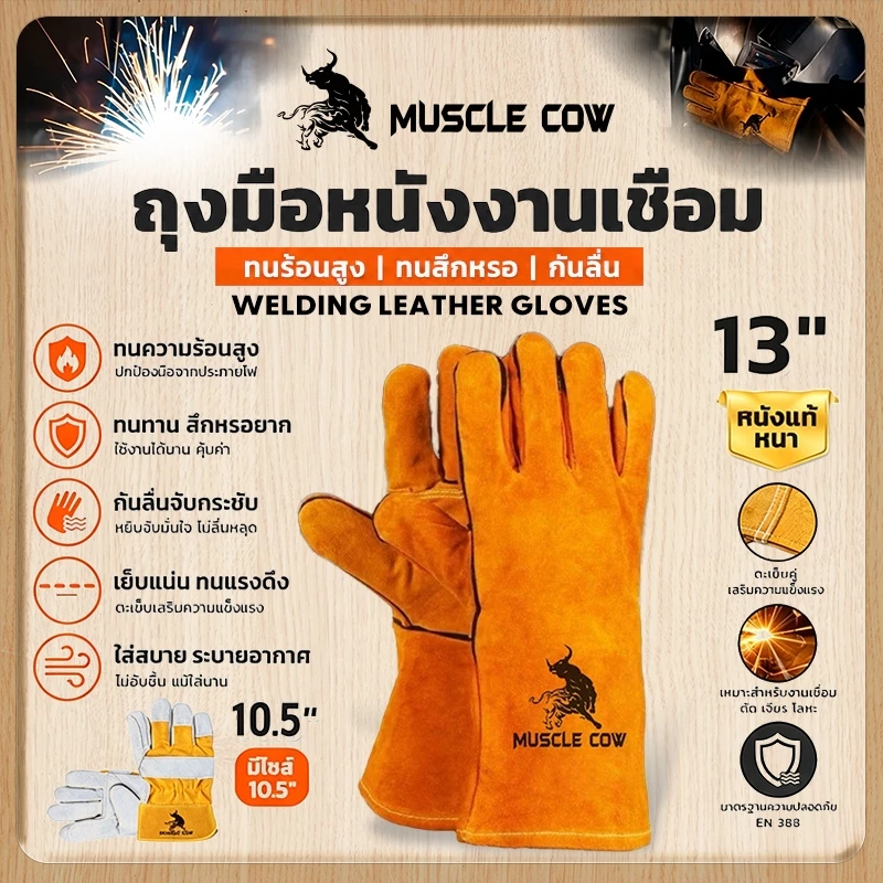 MUSCLE COW ถุงมือหนังงานเชื่อม 10.5" และ13" ทำจากหนังวัวชั้นที่ 2 ทั้งชิ้น เบาและสามารถระบายอากาศได้ดีถุงมือพิเศษทนต่อ