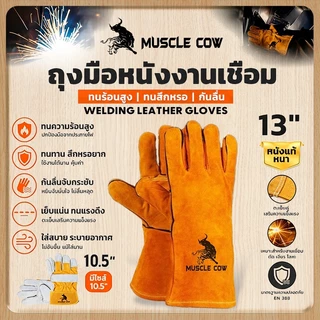 MUSCLE COW ถุงมือหนังงานเชื่อม 10.5" และ13" ทำจากหนังวัวชั้นที่ 2 ทั้งชิ้น เบาและสามารถระบายอากาศได้ดีถุงมือพิเศษทนต่อ