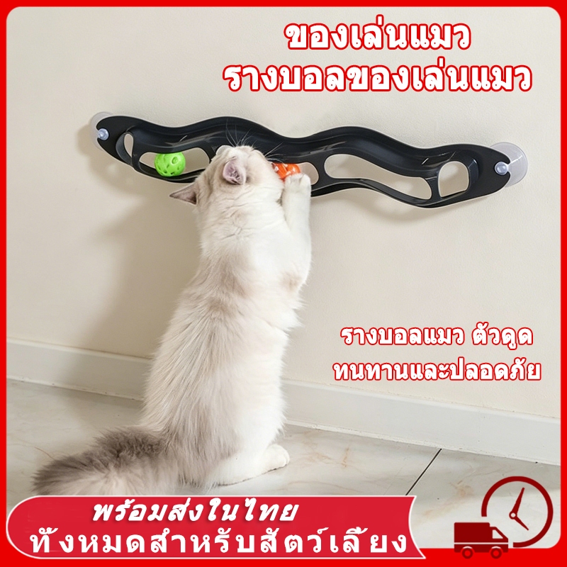 ของเล่นแมว รางบอลแมว ตัวดูด รางบอลของเล่นแมว ทนทานและปลอดภัย ออกกำลังกายให้ร่างกายของคุณ