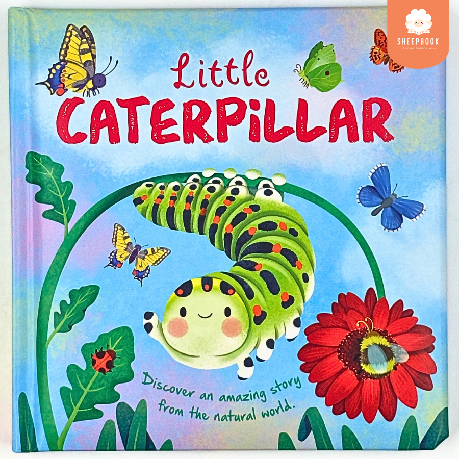 นิทานปกนวม Little Caterpillar วัฏจักรของหนอนผีเสื้อ (1-4 ขวบ)