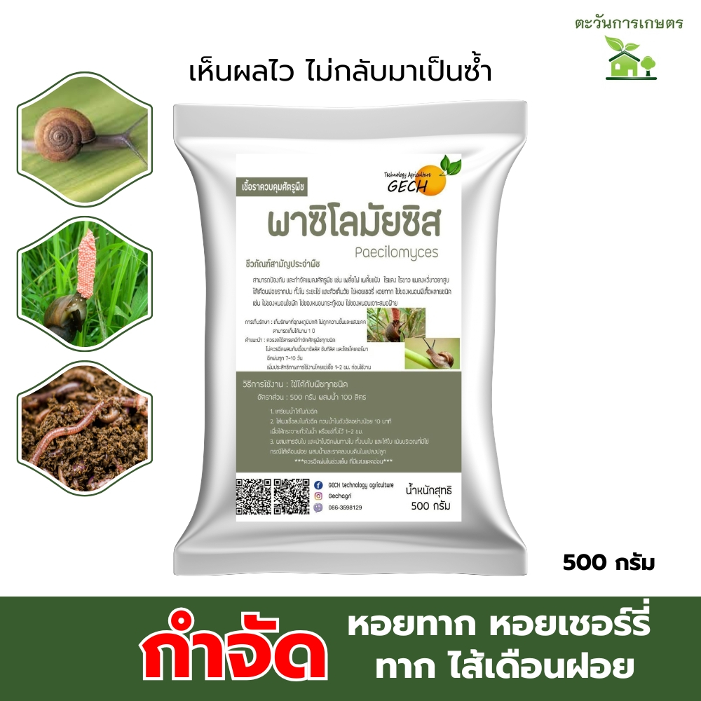 พาซิโลมัยซิส  กำจัด​ หอยทาก​ หอยเชอร์รี่​ ทาก​ ไส้เดือนฝอย​ ชนิดผงพร้อมใช้ขนาด​ 500​ กรัม