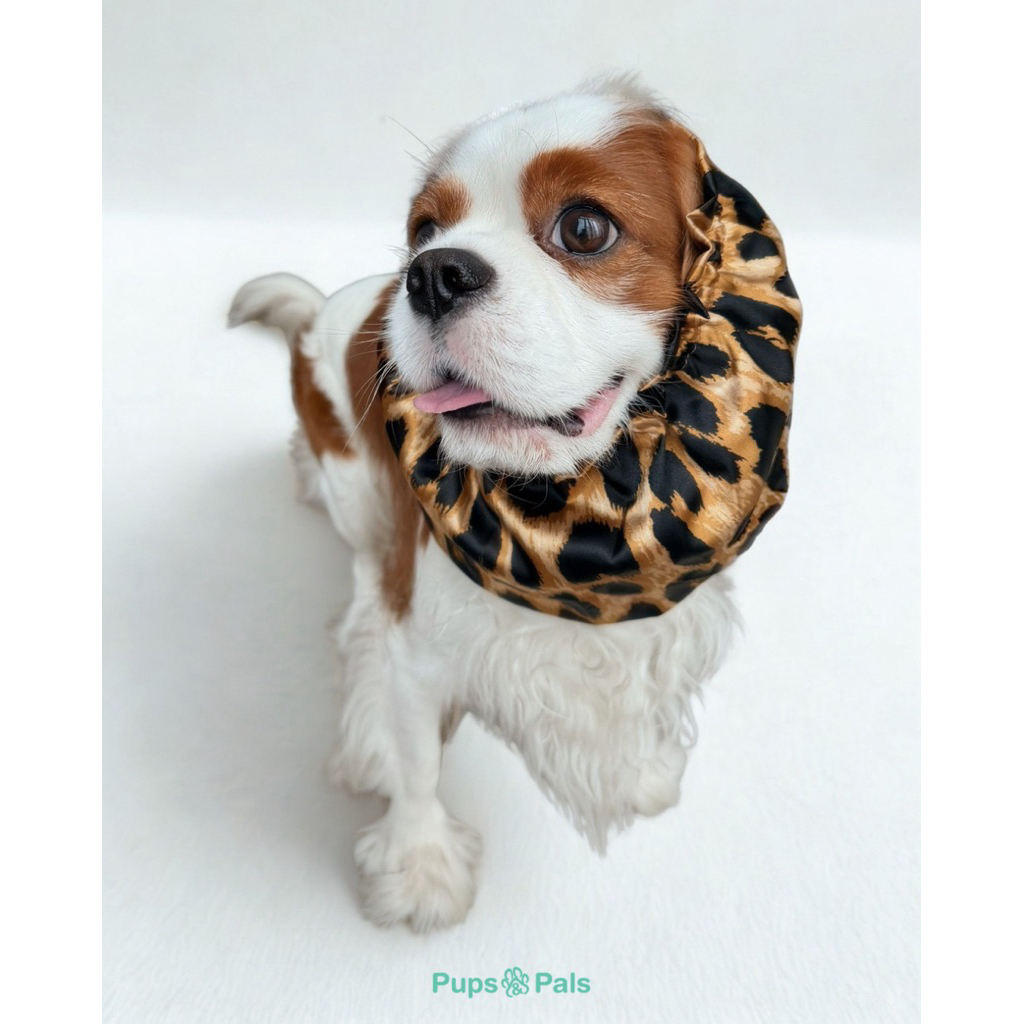 Pups&Pals Half-Snood คลุมหัวกันเลอะแบบสอดหู สำหรับสุนัขและแมว