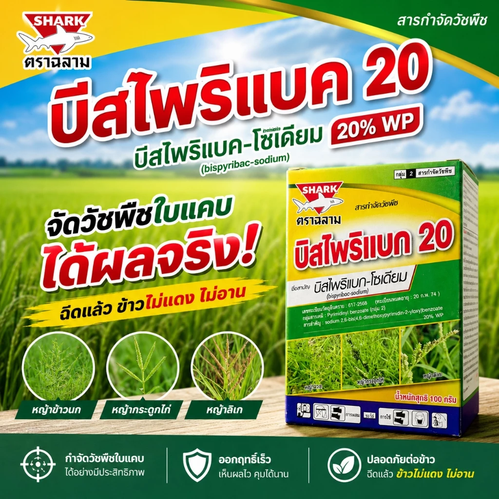 บิสฉลาม (100 กรัม) บิสไพริแบค-โซเดียม 20% WP กำจัดวัชพืชใบแคบ หญ้าข้าวนก หญ้ากระดูกไก่ หญ้าสลาง