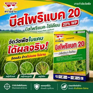 บิสฉลาม (100 กรัม) บิสไพริแบค-โซเดียม 20% WP กำจัดวัชพืชใบแคบ หญ้าข้าวนก หญ้ากระดูกไก่ หญ้าสลาง