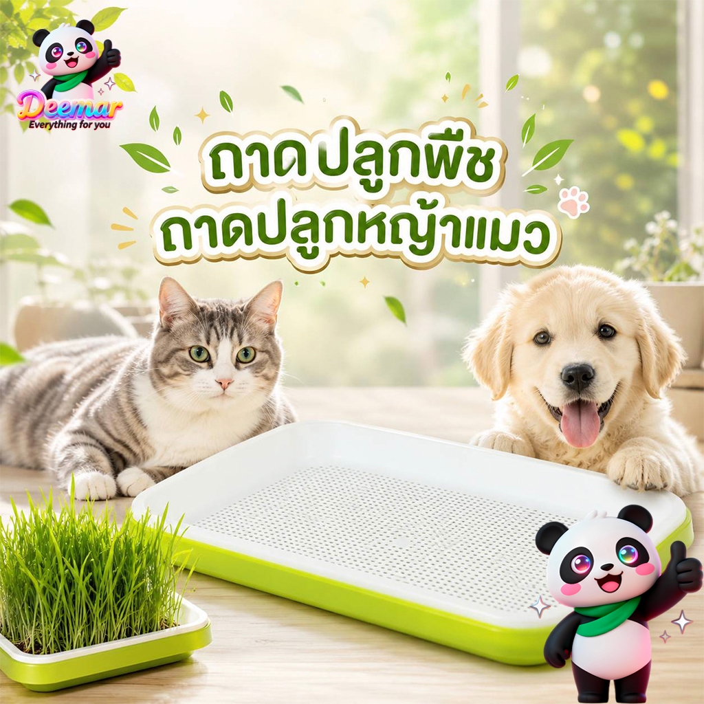 Deemar กระถางปลูกพืช หญ้า สําหรับสัตว์เลี้ยง แมว ขนมขบเคี้ยว กล่องปลูกพืช PET-003