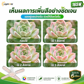 ไฟปลูกต้นไม้ LED 165W เลียนแบบ หลอดไฟทรงใบพัด ไฟ Grow Light เต็มสเปกตรัม E27 ไฟปลูกผัก สมุนไพร ไฟช่วยต้นไม้ตัวเร็ว