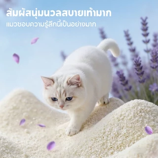 【PET RECORD】🔥 ทรายแมวมันสำปะหลัง 100% 1.25kg กลิ่นซากุระ ลาเวนเดอร์ เลมอน ออริจินัล