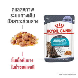 ถูกที่สุด ! ยกกล่อง 12 ซอง อาหารเปียกแมว ROYAL CANIN โรยัล คานิน สำหรับแมวทุกช่วงวัย ทุกสายพันธุ์ 85g.