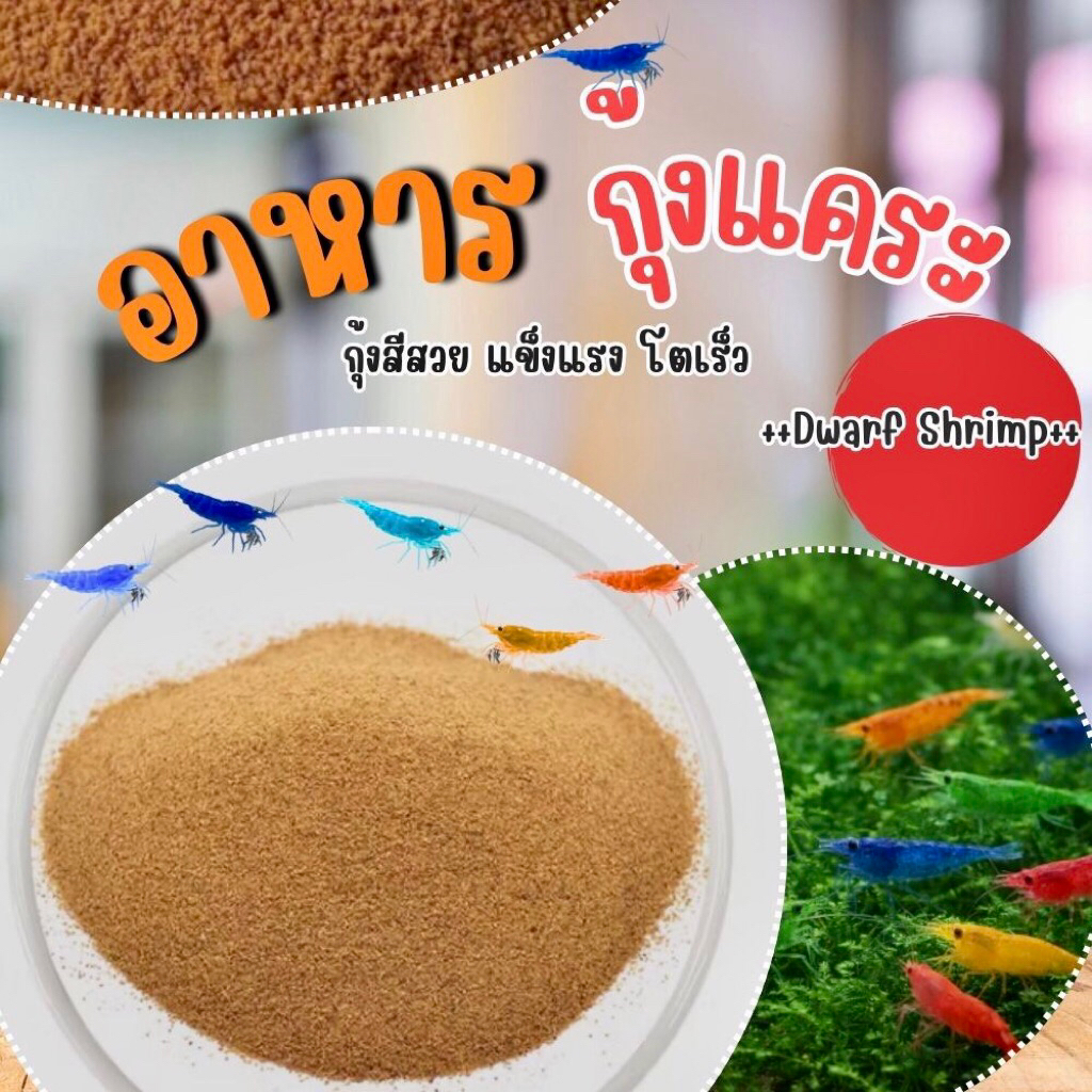อาหารกุ้งแคระเม็ดจิ๋ว เม็ดจม กลิ่นดี กุ้งสีสวยแข็งแรงโตไว