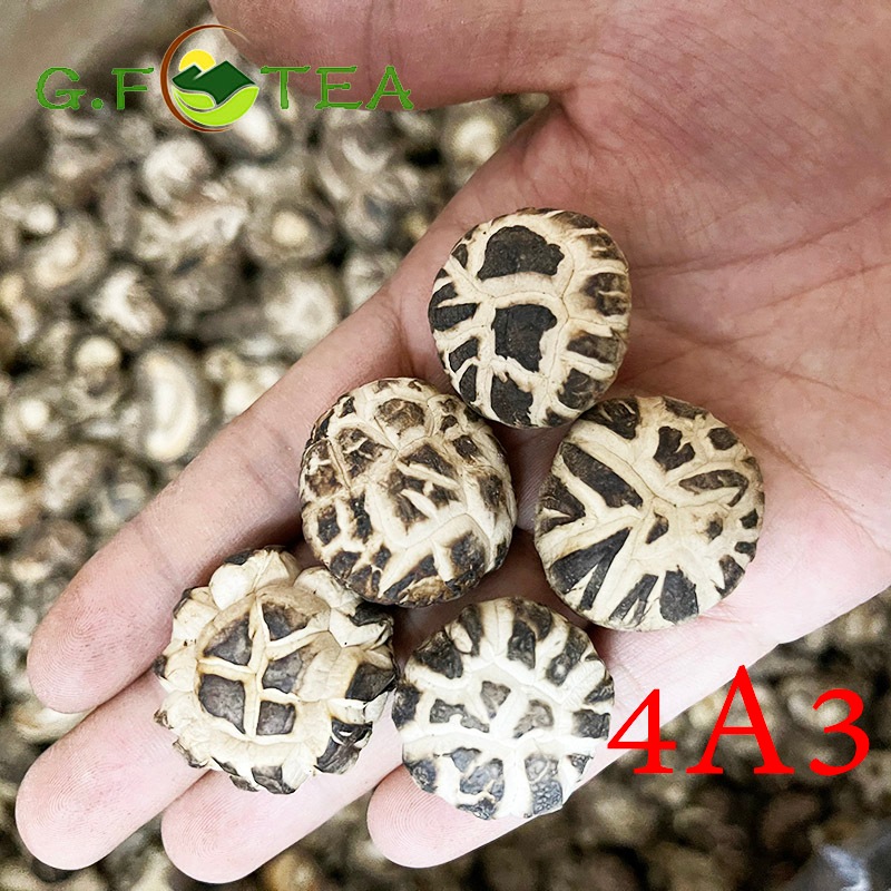 เห็ดหอม เห็ดหอมญี่ปุ่น (4A3) คุณภาพดี 香菇 เนื้อหนา กลิ่นหอมมาก 200g mushroom