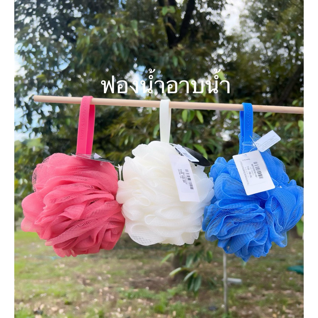 Bath Sponge Bath & Body Works | ฟองน้ำอาบน้ำ ฟองนุ่ม ทำความสะอาดล้ำลึก