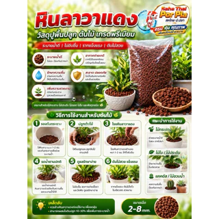 หินภูเขาไฟ ลาวา แดง (Lava stone)ใส่ในตู้ปลา ตู้กุ้ง จัดตกแต่งสวนภูมิทัศน์