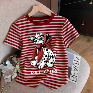 เสื้อยืดผู้หญิงลายทางสำหรับฤดูร้อนแบบใหม่ มีหลายแบบให้เลือก ขนาด M-3XL จัดส่งจากกรุงเทพฯ
