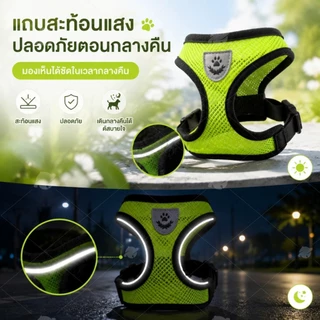 สายจูงแมว สายจูงสุนัข เชือกจูงแมว สายจูงหมา สายจูง สําหรับสัตว์เลี้ยง สุนัข แมว กระต่าย ขนาดเล็ก