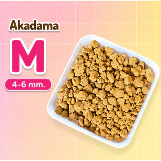 (1 กิโลกรัม) ✅ ดินญี่ปุ่นอะคาดามะ Akadama