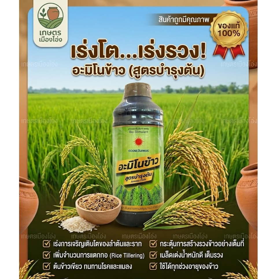 อะมิโนข้าว สูตรบำรุงต้น ขนาด 1 ลิตร อะมิโนแท้รวม20ชนิด สกัดจากปลาทะเล