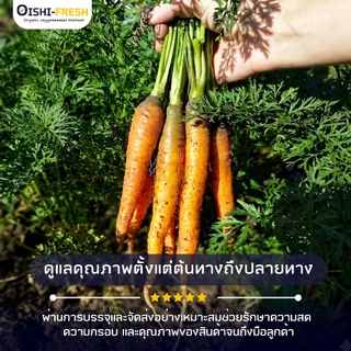 🛒Oishi-Fresh🥕เบบี้แครอท ปลอดสารพิษ 1 กก. รสชาติกรอบ สด ใหม่ ใยอาหารสูง หวานออร์แกนิค ผัก เคลมได้ 1-2 วัน