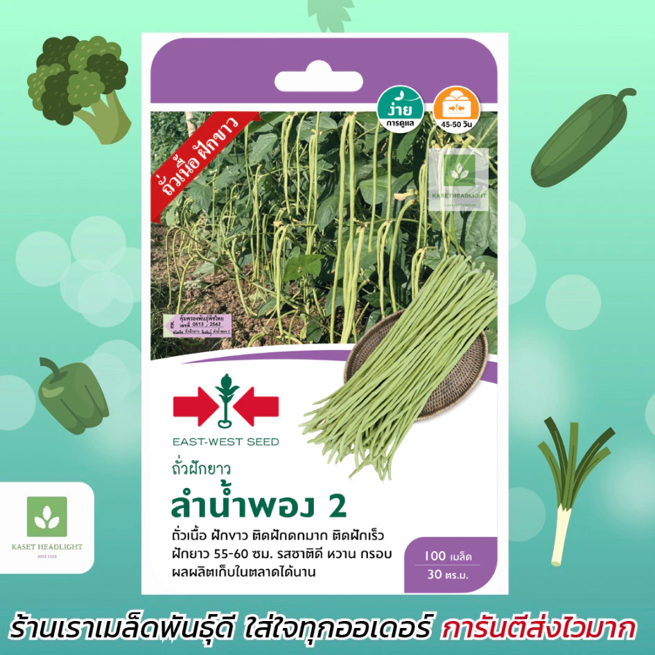 ถั่วฝักยาว ลำน้ำพอง 2 ศรแดง 100เมล็ด เมล็ดพันธุ์ถั่วฝักยาว