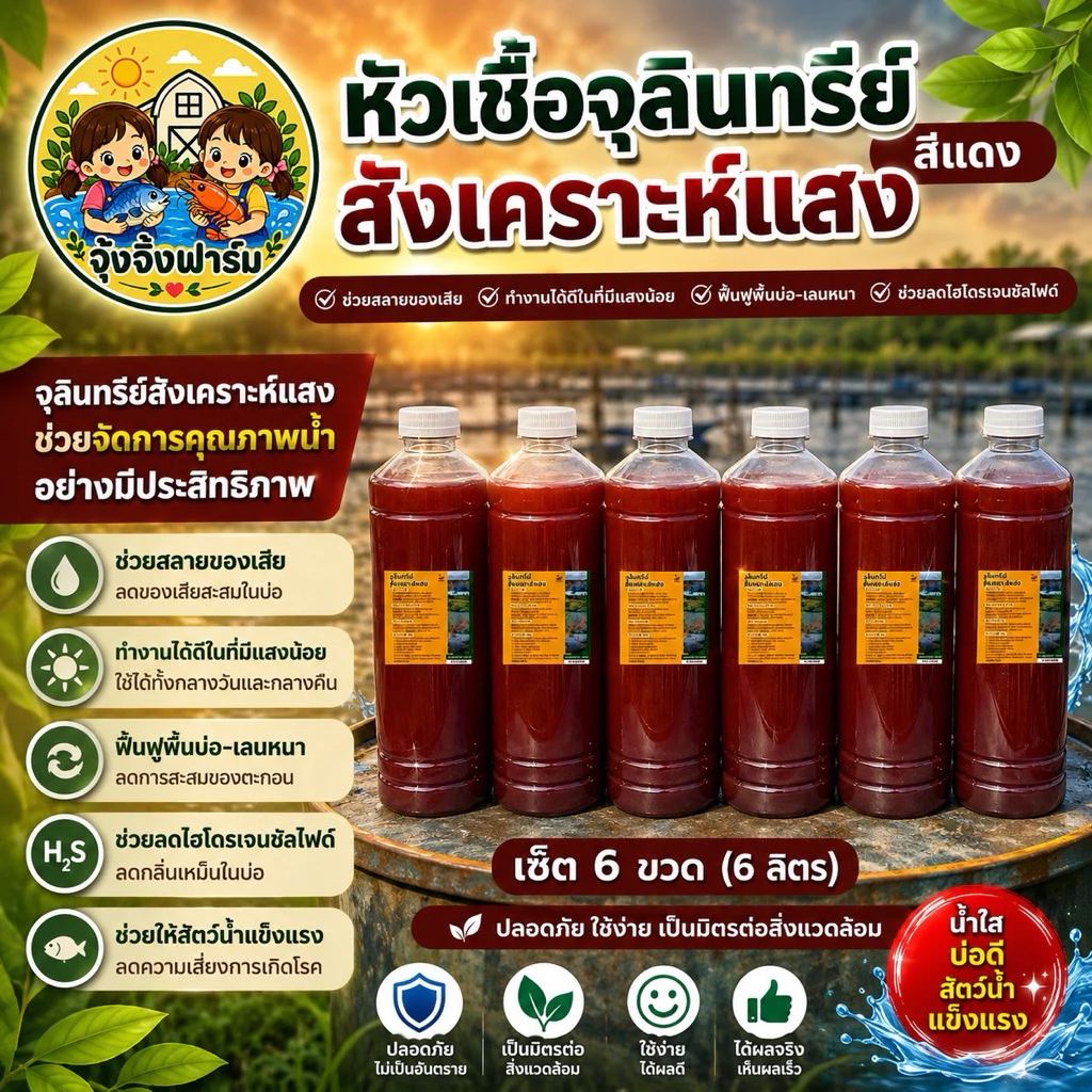 จุ้งจิ้งฟาร์ม 6 ลิตร : หัวเชื้อจุลินทรีย์สังเคราะห์แสง เข้มข้น ใช้ขยายต่อได้