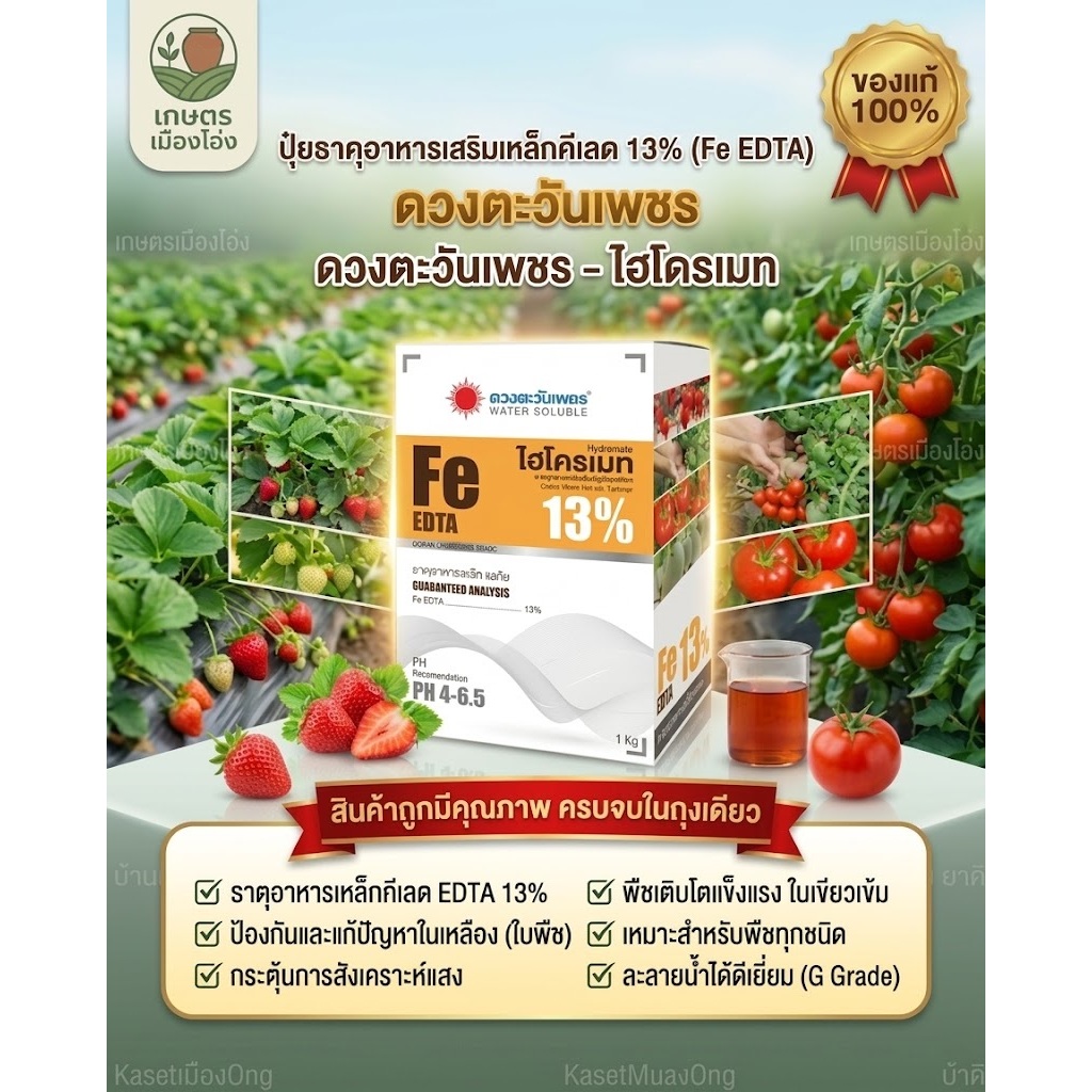 ปุ๋ย คีเลต เหล็กเหลือง 13% Fe-EDTA ดวงตะวันเพชร 1กิโลกรัม ช่วยป้องกันและรักษาอาการขาดธาตุเหล็ก ช่วยให้ใบเขียวเข้ม