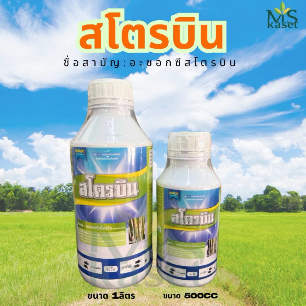 สโตรบิน ตราแมกซ์ อะซอกซีสโตรบิน (Azoxystrobin) คือ สารป้องกันและกำจัดโรคพืชที่เกิดจากเชื้อราประเภทดูดซึม