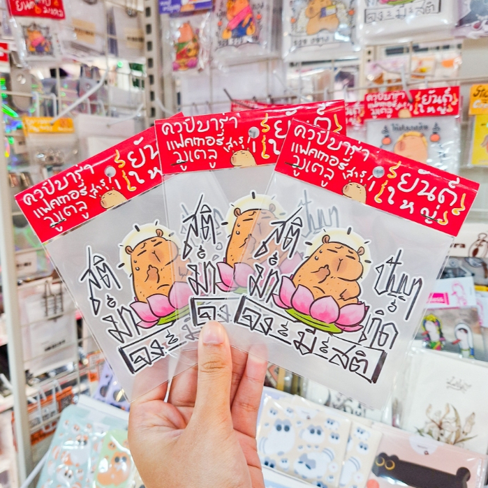 🍃มีลายใหม่ด้วยนะ!🍃Big Sticker สติกเกอร์ยักษ์รวมลายยันต์คาปิบารา ใช้แล้วแคล้วคลาดปลอดภัย!💫[8.45AM]