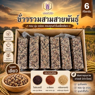 ข้าวรวมสามสายพันธุ์ ตราทรัพย์ธนา แพคสุญญากาศ6กิโลกรัม