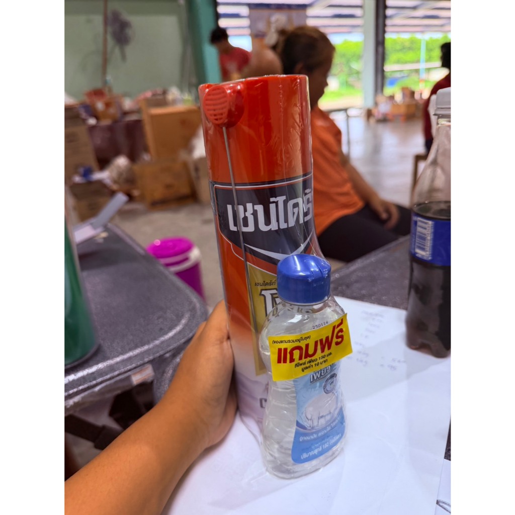 เชนไดร้ท์ โฟม 250กรัม ป้องกันและกำจัดปลวก ปลวกตาย ยกลัง ปลวกตายซอกซอนลึก (ยกลัง6กป)