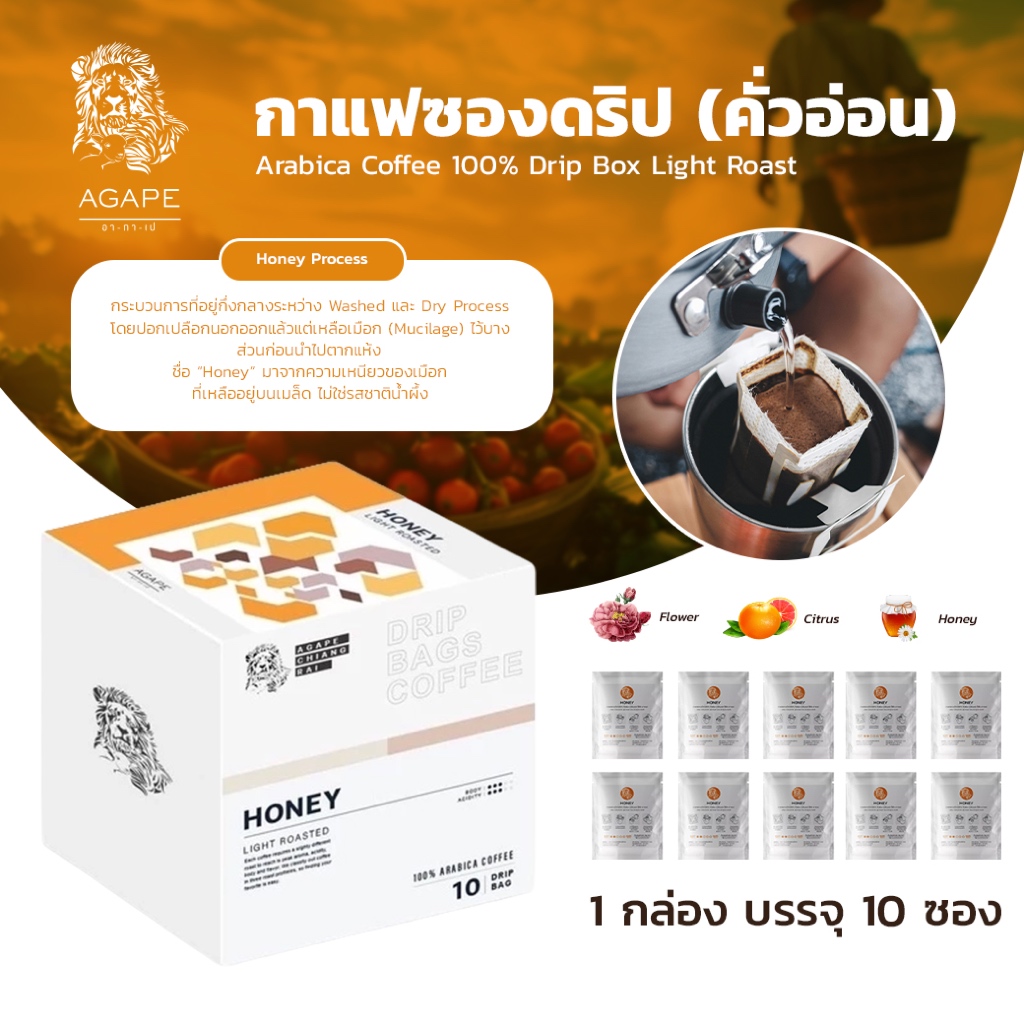 กาแฟซองดริปคั่วอ่อน (Honey) บรรจุกล่อง 10 ซอง เมล็ดกาแฟอาราบิก้าพรีเมี่ยมเชียงราย 100%