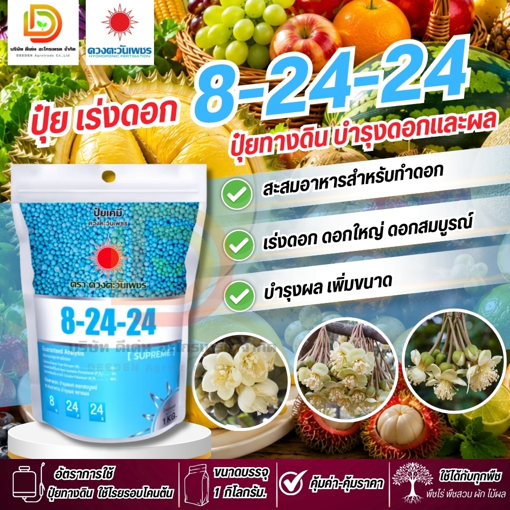 ปุ๋ยสูตร 8-24-24 (แบรนด์) บำรุงดอก - ผล ( ขนาด 1 กิโลกรัม ) เร่งดอก เร่งผล ดวงตะวันเพชร #ปุ๋ยเร่งดอก