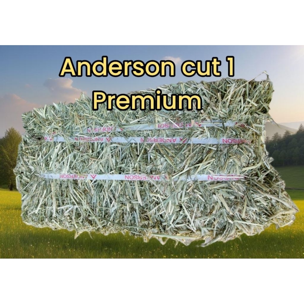 หญ้าทิมโมธี cut1  แบรนด์ Anderson     เกรดพรีเมียม ฟ่อน 25-30 กก. (1 คำสั่งซื้อต่อสินค้า 1 ชิ้น )