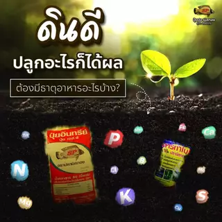 ปลานิลทอง ปุ๋ยอินทรีย์ ปรับหน้าดิน กระสอบ 25 กก ลดความเป็นกรดในดิน ทำให้ดินร่วนซุย เพิ่มธาตุอาหาร สร้างสมดุลธาตุอาหารในด