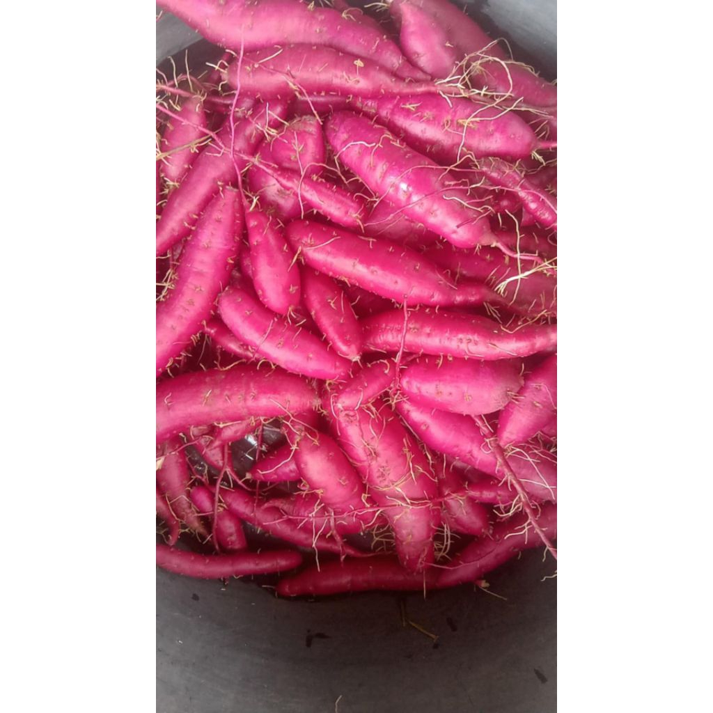 มันหวานสีม่วง น้ำหนัก 1 กิโลกรัม