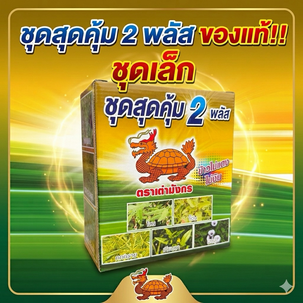 ชุดสุดคุ้ม2พลัสชุดเล็ก