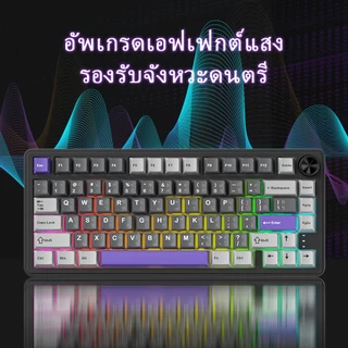 ZIFRIEND RX75 Pro คีย์บอร์ดเกมมิ่งเชิงกลแบบไร้สาย Gasket Hot Swappable พร้อมไฟ RGB สามารถปรับแต่งเอง