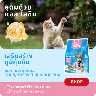 MRVET อาหารเม็ดแมว T2 combo 3 กก. - อุดมด้วยโอเมก้า 3 เพื่อการบำรุงผิวหนังและเส้นขน เหมาะสำหรับแมวทุกช่วงวัย