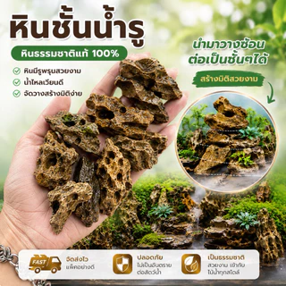 หินแม่น้ำ มีรู(สินค้าใหม่)💕รับประกันความสวย🪨🌿