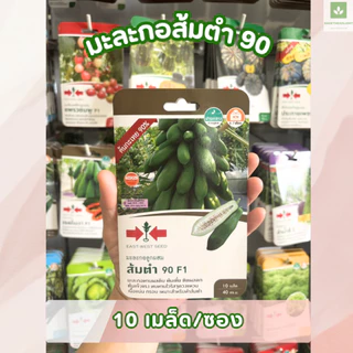 เมล็ดพันธุ์มะละกอ ซองเล็ก มีครบ! มะละกอแขกดำ มะละกอฮอลแลนด์ ศรแดง เจียไต๋