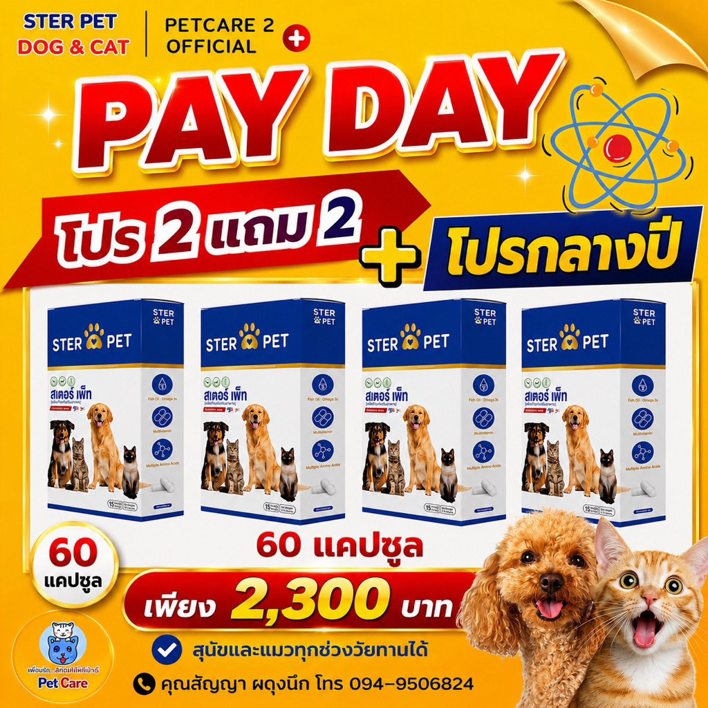 ++ของแท้ [ Ster Pet โปร 2 แถม 2 ] 60แคปซูล 🌟อาหารเสริมสูตรต้านมะเร็ง ลดก้อนเนื้อ หมาแมว ครบวงจร🐶😻