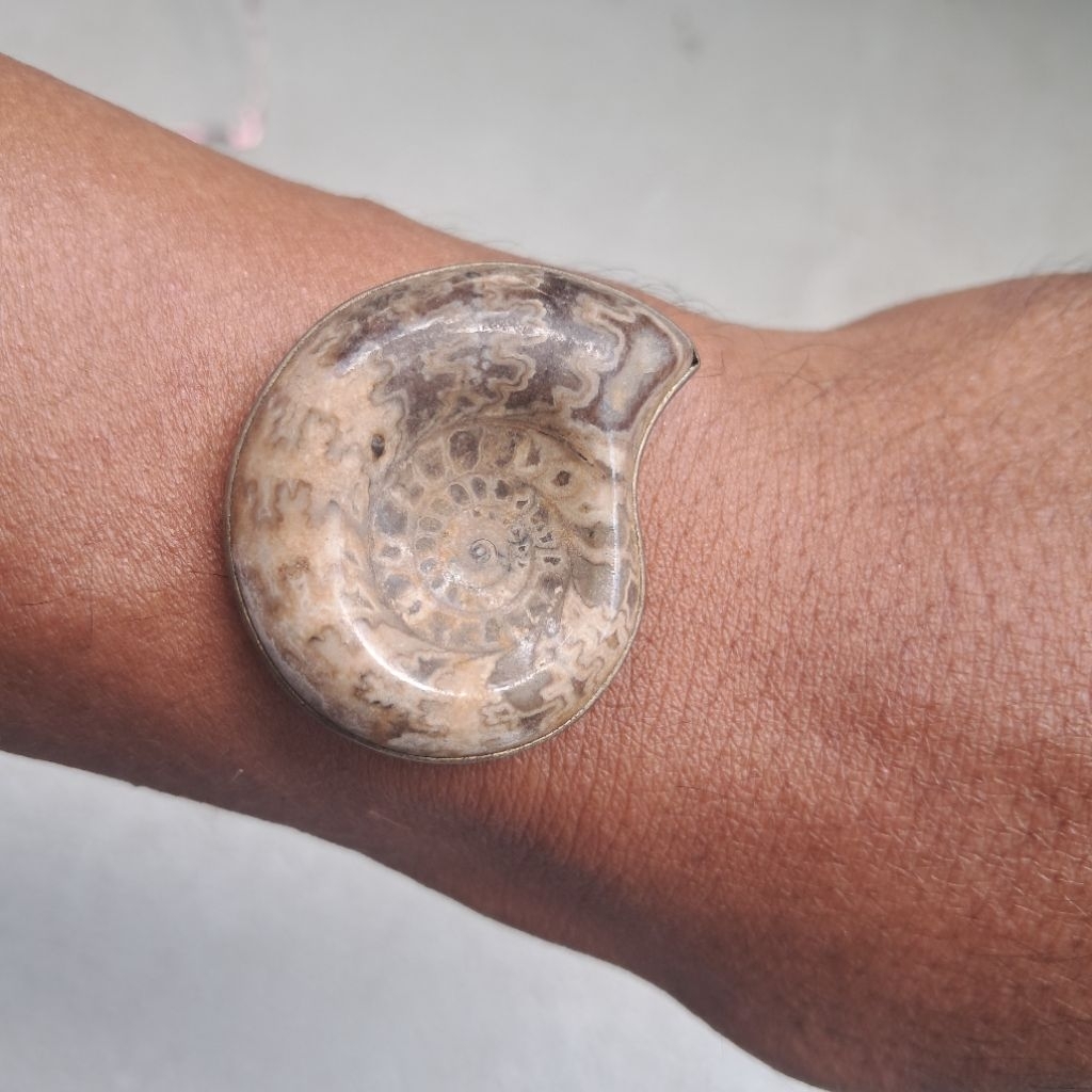 ข้อมือหอยแอมโมไนต์ (Ammonite Fossil) ง