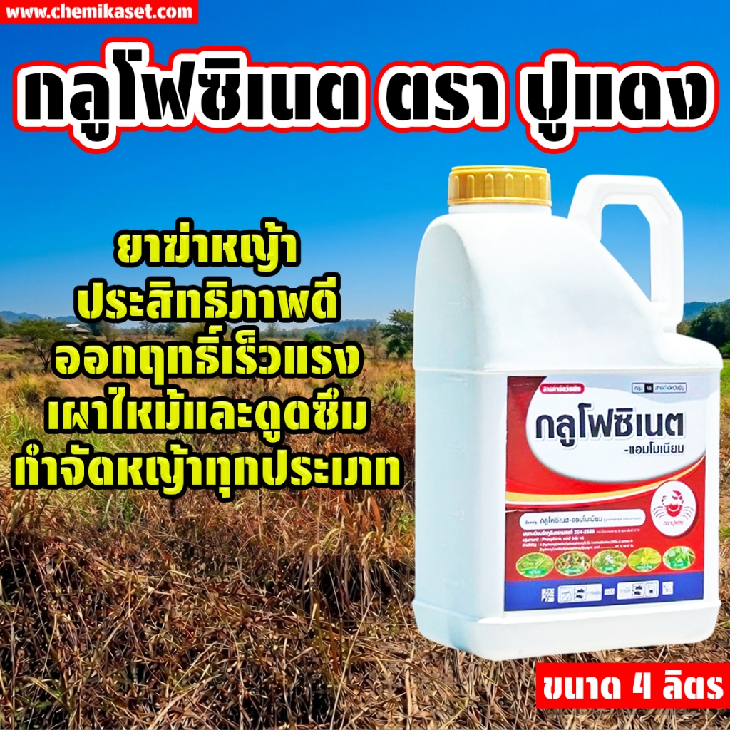 กลูโฟซิเนตประสิทธิภาพดี ขนาด 4 ลิตร ตรา ปูแดง เผาไหม้ดี รวดเร็ว ทนฝนดี ส่งเร็ว มีเก็บปลายทาง