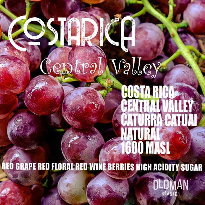 เมล็ดกาแฟ COSTARICA CENTRAL VALLEY  (คั่วอ่อน) by OLDMAN ROASTER