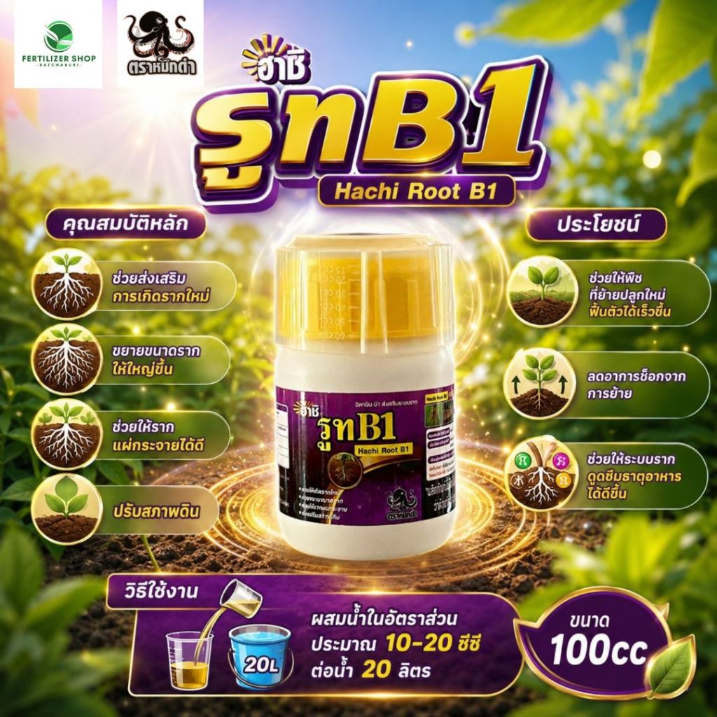 รูท B1 เร่งราก (ขนาด 100cc) ฮาชิ